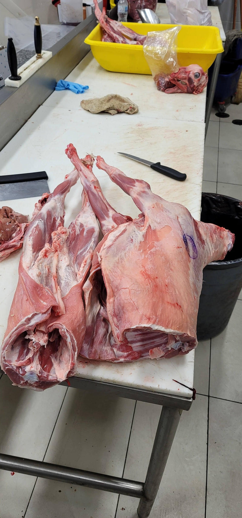 Holiday Celebration Goat