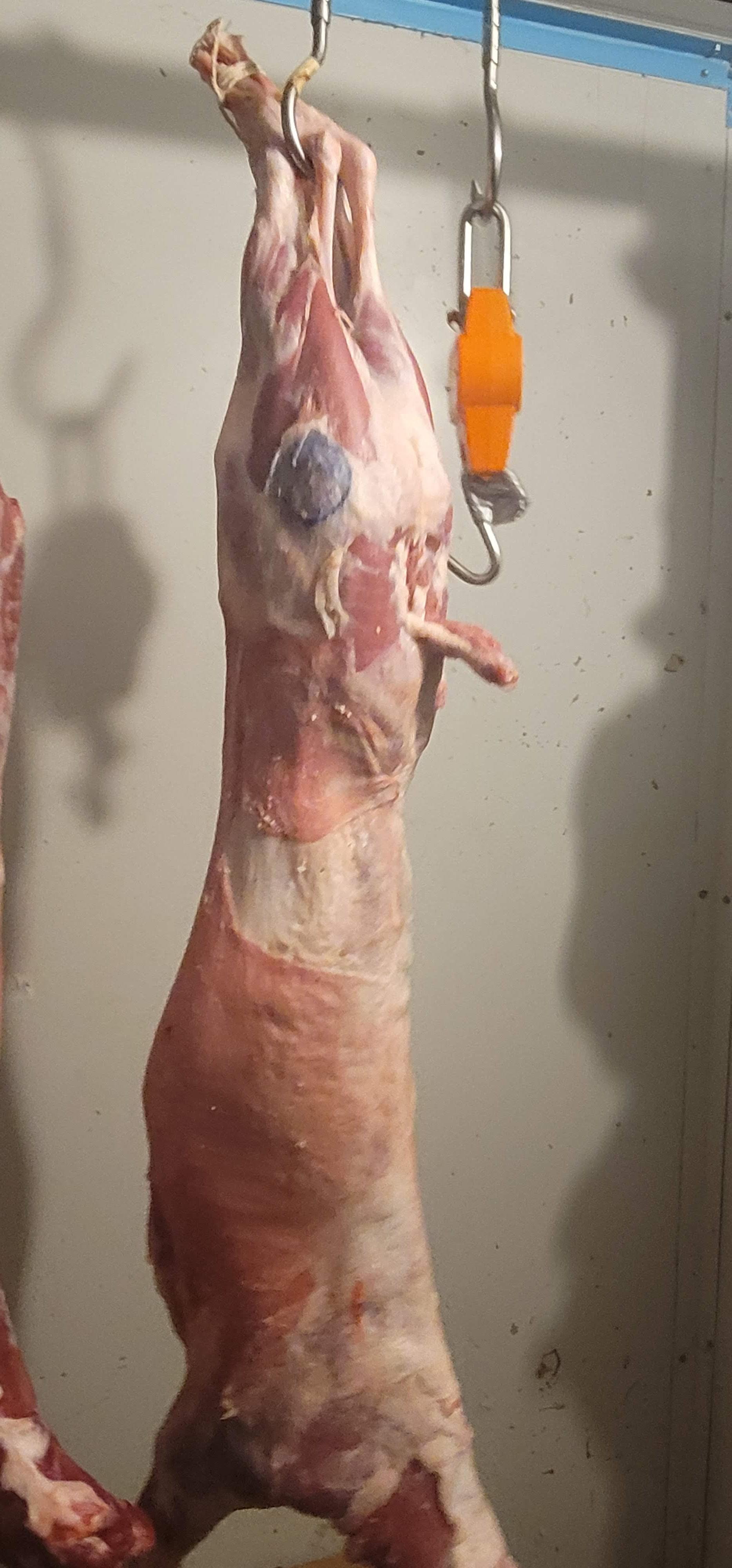 Whole Lamb For Birthday Celebration